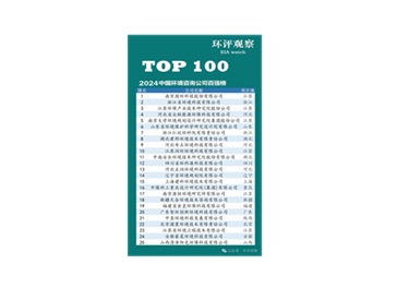 2024中國環境咨詢公司百強榜榜首